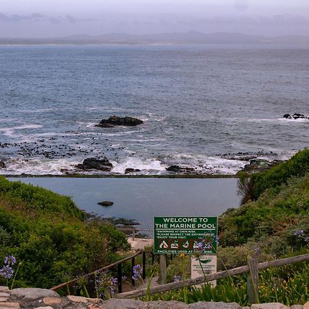 Goozi Garden Cottage Hermanus Esterno foto